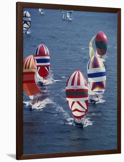 Colorful Sailboats-null-Framed Photographic Print