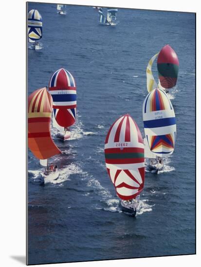 Colorful Sailboats-null-Mounted Photographic Print