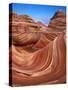 Colorful Sandstone Swirls in the Wave Formation, Paria Canyon, Utah, Usa-Dennis Flaherty-Stretched Canvas