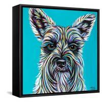 Colorful Schnauzer-Carolee Vitaletti-Framed Stretched Canvas