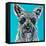 Colorful Schnauzer-Carolee Vitaletti-Framed Stretched Canvas