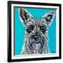 Colorful Schnauzer-Carolee Vitaletti-Framed Premium Giclee Print