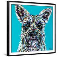 Colorful Schnauzer-Carolee Vitaletti-Framed Premium Giclee Print