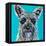 Colorful Schnauzer-Carolee Vitaletti-Framed Stretched Canvas