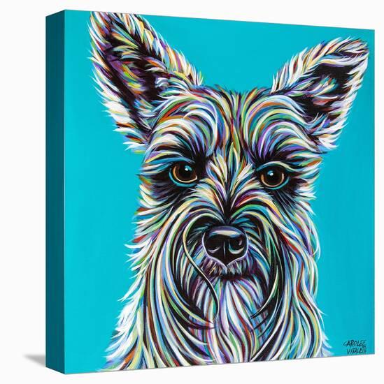 Colorful Schnauzer-Carolee Vitaletti-Stretched Canvas