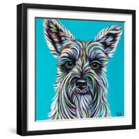 Colorful Schnauzer-Carolee Vitaletti-Framed Art Print