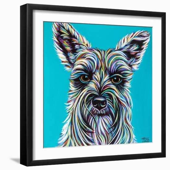 Colorful Schnauzer-Carolee Vitaletti-Framed Art Print