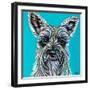 Colorful Schnauzer-Carolee Vitaletti-Framed Art Print