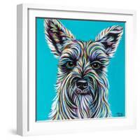 Colorful Schnauzer-Carolee Vitaletti-Framed Art Print