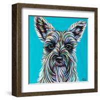 Colorful Schnauzer-Carolee Vitaletti-Framed Art Print