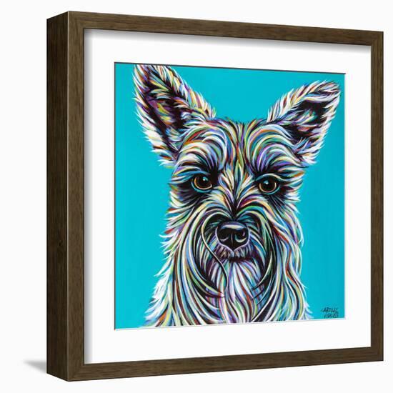 Colorful Schnauzer-Carolee Vitaletti-Framed Art Print