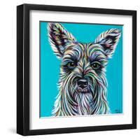 Colorful Schnauzer-Carolee Vitaletti-Framed Art Print