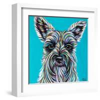 Colorful Schnauzer-Carolee Vitaletti-Framed Art Print