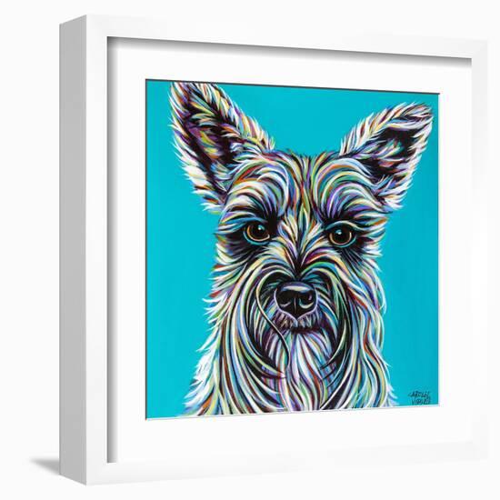 Colorful Schnauzer-Carolee Vitaletti-Framed Art Print