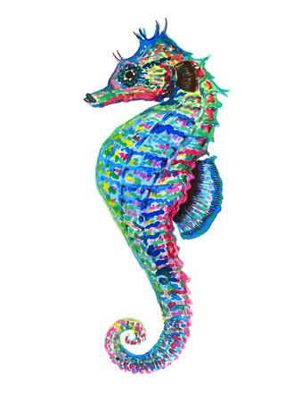 https://imgc.allpostersimages.com/img/posters/colorful-seahorse-facing-left_u-L-F9HS020.jpg?artPerspective=n