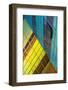 Colorful Sepration-Greetje van Son-Framed Photographic Print