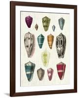 Colorful Shell Assortment I-Wild Apple Portfolio-Framed Art Print