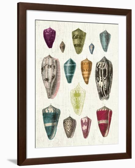 Colorful Shell Assortment I-Wild Apple Portfolio-Framed Art Print