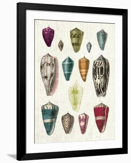 Colorful Shell Assortment I-Wild Apple Portfolio-Framed Art Print