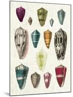 Colorful Shell Assortment I-Wild Apple Portfolio-Mounted Art Print