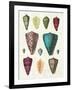 Colorful Shell Assortment II-Wild Apple Portfolio-Framed Art Print