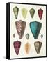 Colorful Shell Assortment II-Wild Apple Portfolio-Framed Stretched Canvas