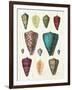 Colorful Shell Assortment II-Wild Apple Portfolio-Framed Art Print