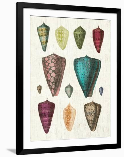 Colorful Shell Assortment II-Wild Apple Portfolio-Framed Art Print