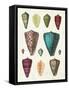 Colorful Shell Assortment II-Wild Apple Portfolio-Framed Stretched Canvas