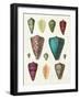 Colorful Shell Assortment II-Wild Apple Portfolio-Framed Art Print