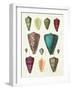 Colorful Shell Assortment II-Wild Apple Portfolio-Framed Art Print