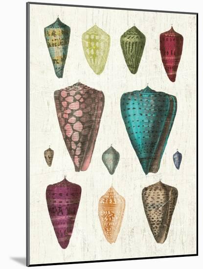 Colorful Shell Assortment II-Wild Apple Portfolio-Mounted Art Print