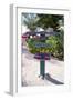 Colorful Signpost at Rum Point Cayman Islan-George Oze-Framed Photographic Print