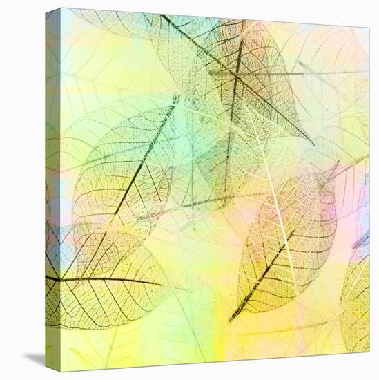Colorful Skeleton Leaves for Background-Svetlana Foote-Stretched Canvas
