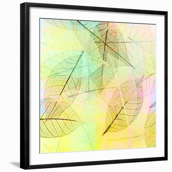 Colorful Skeleton Leaves for Background-Svetlana Foote-Framed Photographic Print