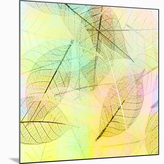 Colorful Skeleton Leaves for Background-Svetlana Foote-Mounted Photographic Print