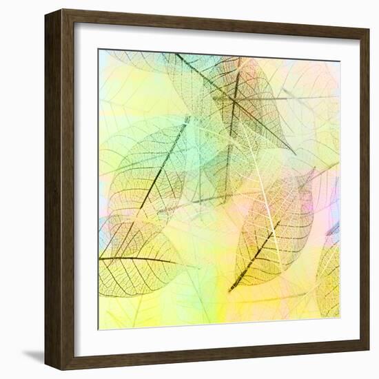 Colorful Skeleton Leaves for Background-Svetlana Foote-Framed Photographic Print