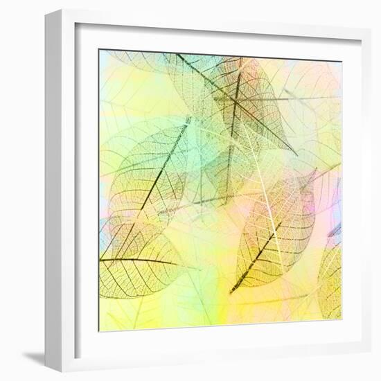 Colorful Skeleton Leaves for Background-Svetlana Foote-Framed Photographic Print