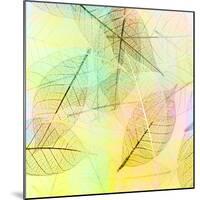 Colorful Skeleton Leaves for Background-Svetlana Foote-Mounted Photographic Print