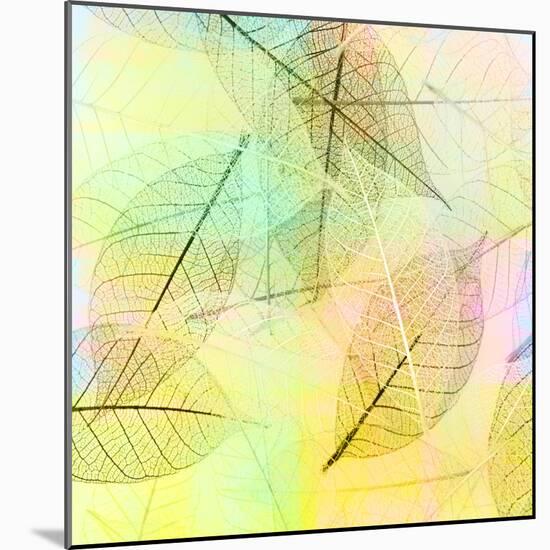 Colorful Skeleton Leaves for Background-Svetlana Foote-Mounted Photographic Print