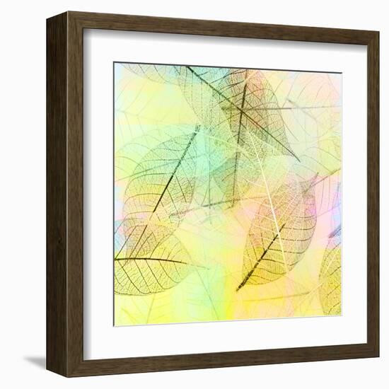 Colorful Skeleton Leaves for Background-Svetlana Foote-Framed Premium Photographic Print