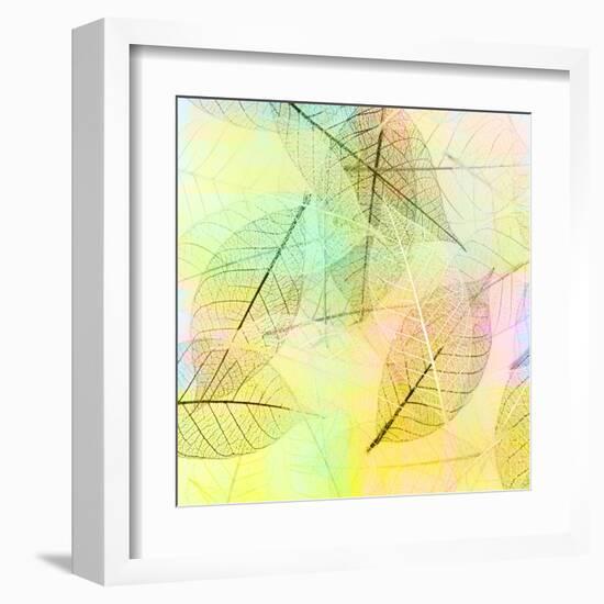 Colorful Skeleton Leaves for Background-Svetlana Foote-Framed Premium Photographic Print