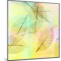 Colorful Skeleton Leaves for Background-Svetlana Foote-Mounted Premium Photographic Print