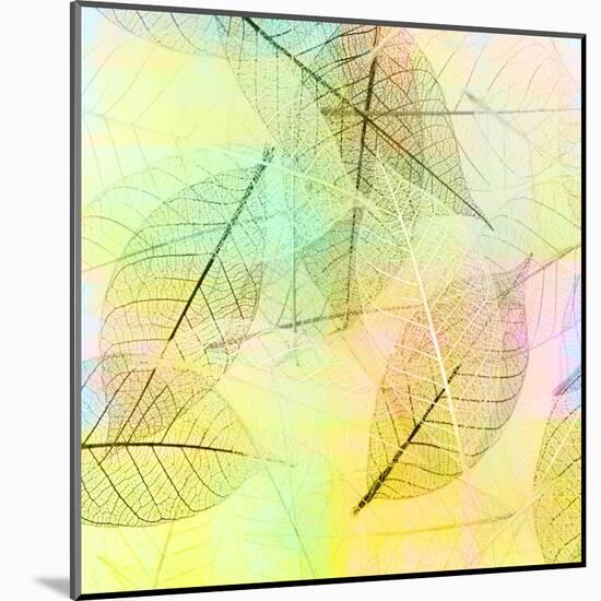 Colorful Skeleton Leaves for Background-Svetlana Foote-Mounted Premium Photographic Print