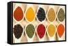 Colorful Spices-Fotokris-Framed Stretched Canvas