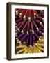 Colorful Spools of Thread Hang in the Market, Fes, Morocco-Merrill Images-Framed Photographic Print