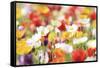 Colorful Spring (3)-Incredi-Framed Stretched Canvas