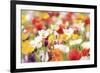 Colorful Spring (3)-Incredi-Framed Giclee Print