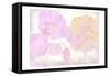 Colorful Spring 5-Kimberly Allen-Framed Stretched Canvas