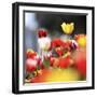 Colorful Spring (5)-Incredi-Framed Giclee Print